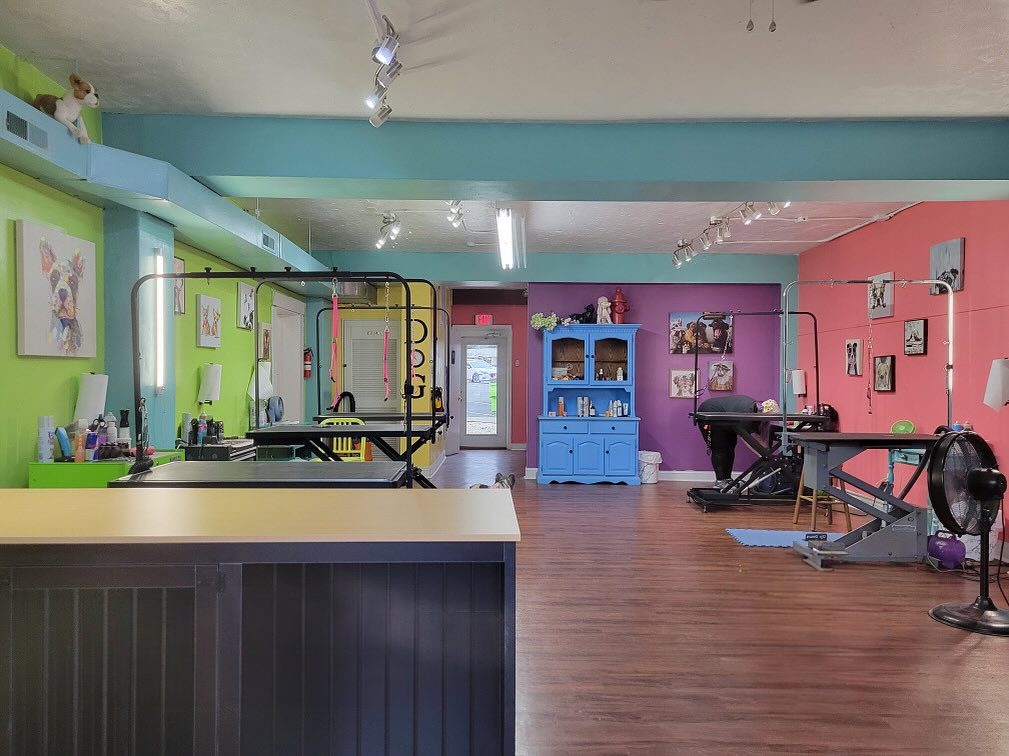 expansion A wide view of the interior of the Pooches & Smooches Pet Grooming Salon